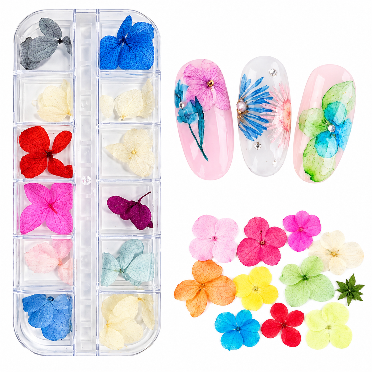 NP222 12-Grid Real Hydrangea Dried Flower Petals Set - Multi-Color Natural Floral Petals Organizer Case for Encapsulated Acrylic, Gel Nails & DIY Crafts