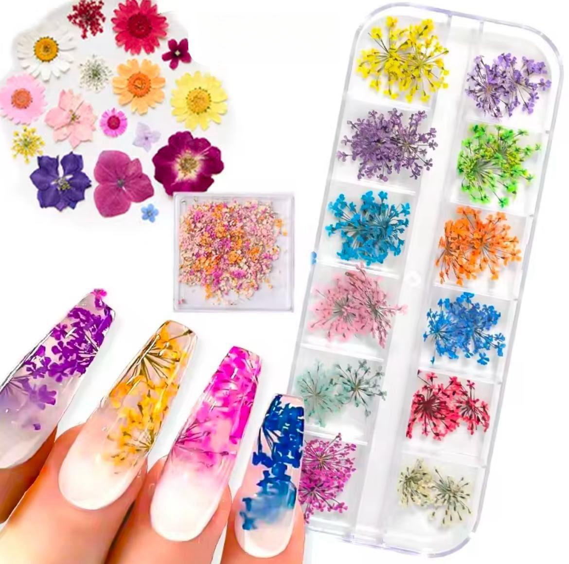Multi-Color Dried Pressed Flowers Set | 3D Nail Art Encapsulation Kit