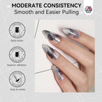 NP329 Bolt Bee Professional Spider Gel (10g, Black #2) - Elastic Stretchy Matrix Painting Gel for Straight Lines & Geometric Nail Art Design